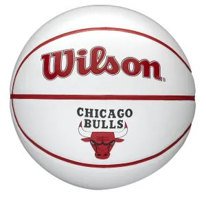 Chicago Bulls Team Autograph Mini Basketball